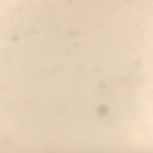 Meet your Posher, Scotty